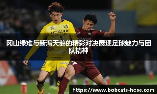 冈山绿雉与新泻天鹅的精彩对决展现足球魅力与团队精神